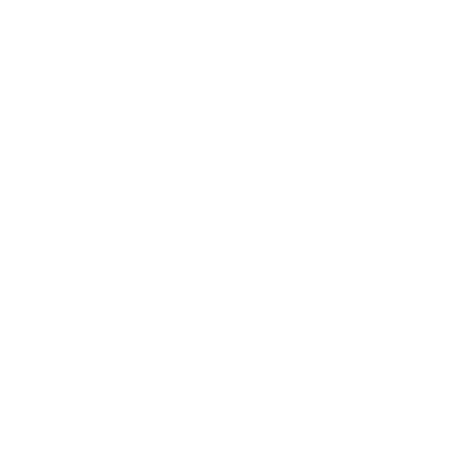 Magento Development