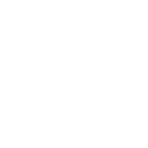 Adobe Photoshop PS PSD