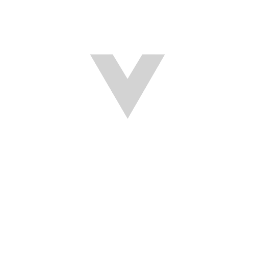 Vue JS