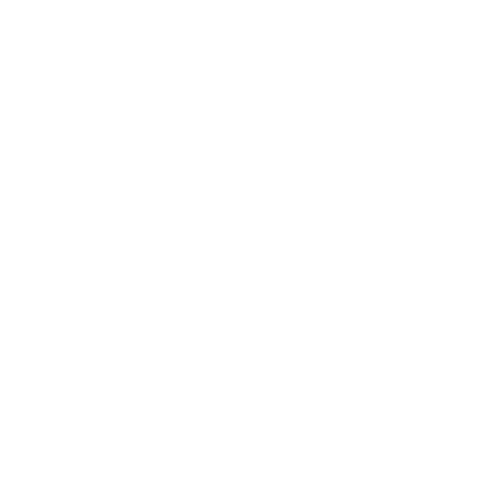 WOWZA media development